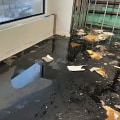 When Disaster Strikes: Water Damage Restoration Service For Green Homes Emergencies In Vancouver