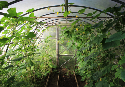 Year-Round Gardening: Exploring The Benefits Of Greenhouse Construction For Ontario's Green Homes